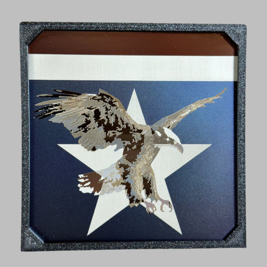 Badge of Freedom